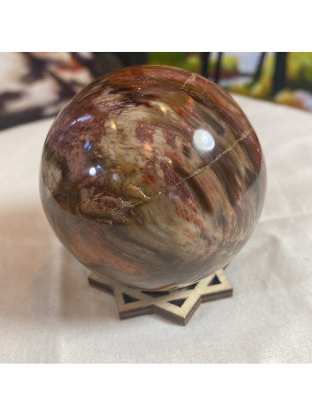 Petrified Wood Sphere